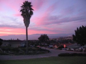 Read more about the article What a Sunset here in the Hollywood Riviera!